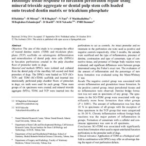 Histologic Tissue Response to Furcation Perforation Repair Using Mineral Trioxide Aggregate or Dental Pulp Stem Cells Loaded onto Treated Dentin Matrix or Tricalcium Phosphate